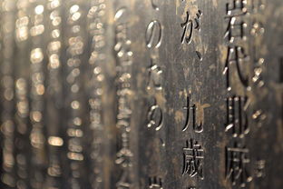 探寻中华瑰宝，中华优秀传统文化填空题答案解析