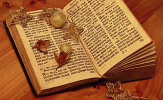 探索知识的海洋,小学语文百科题目及答案全解析 探索知识的海洋,小学语文百科题目及答案全解析