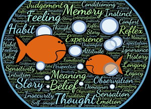 智慧之光，经验主义的寓言故事