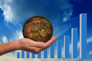 动物百科知识,探索动物世界的奥秘 动物百科知识,探索动物世界的奥秘