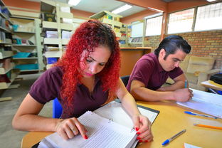 从失败中学习，吸取经验与汲取教训的艺术