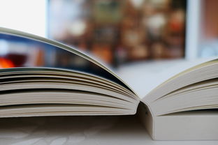 小学生文学常识1000题及答案,开启文学世界的大门 小学生文学常识1000题及答案,开启文学世界的大门