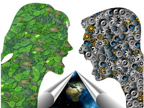 探索魅族应用商店,用户体验与生态构建的深度解析 探索魅族应用商店,用户体验与生态构建的深度解析