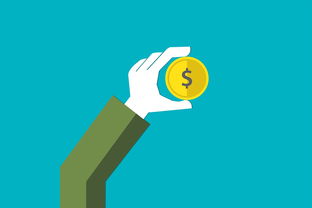 IPO开闸：投资者如何抓住机遇避开风险，轻松实现财富增长